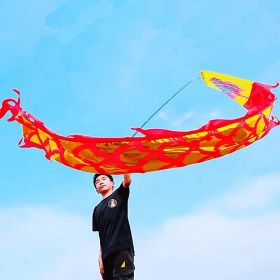 3 Meters (9.8 FT) Golden Scale Silk Dragon POI Outdoor Flinging Wind Spinners & Fitness Dragon Dance Wu Long 3D dragon Ribbon Streamer with Fiber (Red Gold Dragon: Red Golden Dragon)