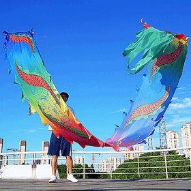 19.6ft Washable Silk-like Dragon Poi for Kids & Adults, 6 meters of Outdoor Flinging Fitness Dance with 3D Rainbow Color Dragon Ribbon Streamer S (Color: Random Dragon)